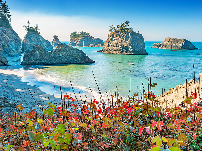 Brookings Real Estate