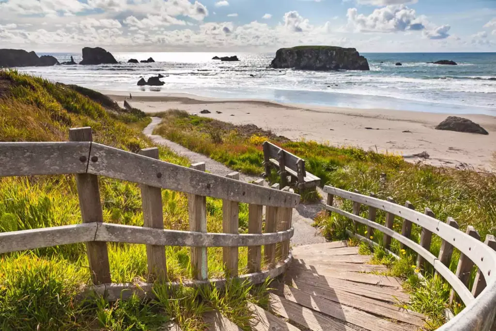 Year in Review + Plan Your Next Curry Coast Adventure 1 75