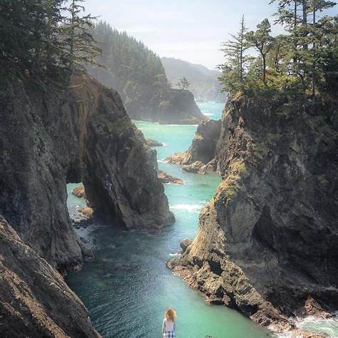 Hiking to the Top: Humbug Mountain, Port Orford Heads & Scenic Trails 1 OIP.HYQS2LOnH2VwvOGkUWTFMgHaJQ